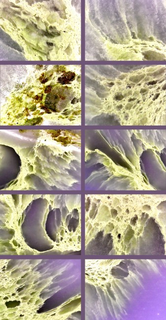 succorcreek002.jpg
