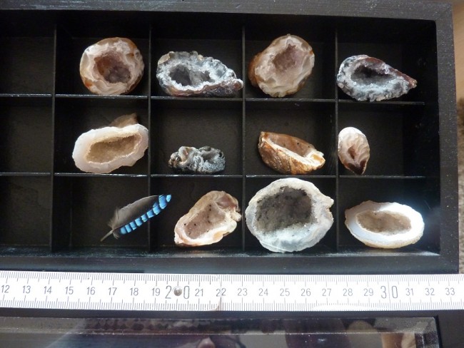 miniachatgeoden.jpg