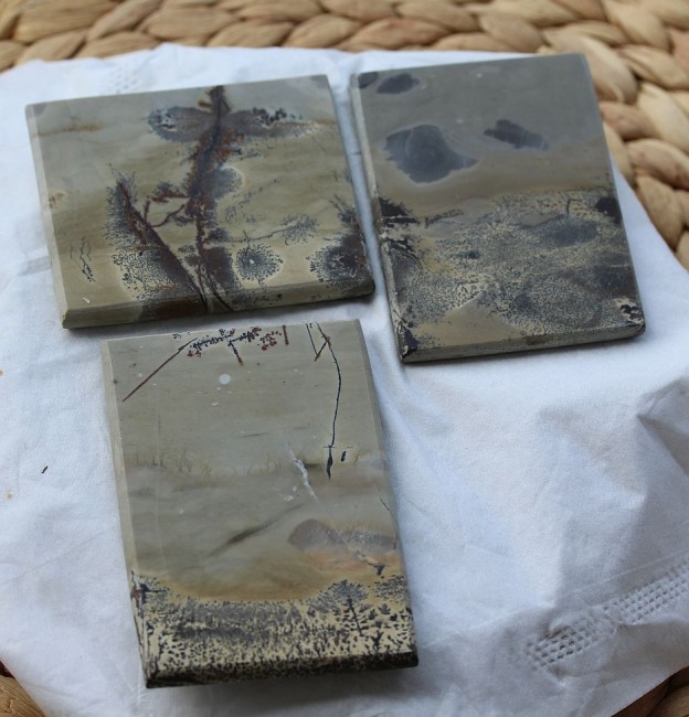 3 China Picture Jasper.jpg