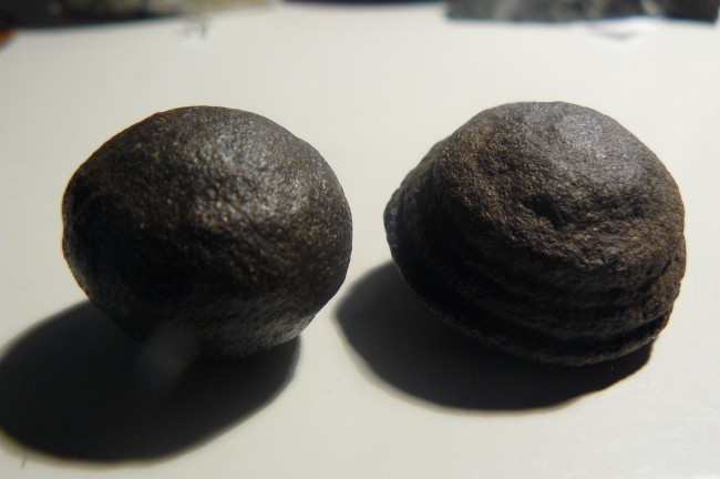 Mooquis aus Arizona