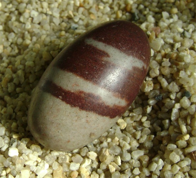 shivalingam001.jpg