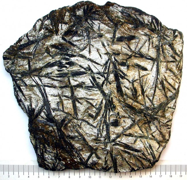 Hornblendegarbenschiefer1154g_1.jpg