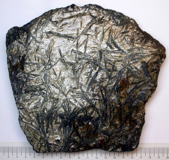 Hornblendegarbenschiefer1154g_4.jpg