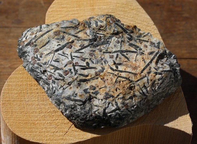 105x80x20mm, Granat - Hornblende, Zillertal, Tirol, Österreich 1.jpg