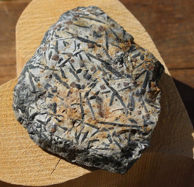 105x80x20mm, Granat - Hornblende, Zillertal, Tirol, Österreich.jpg