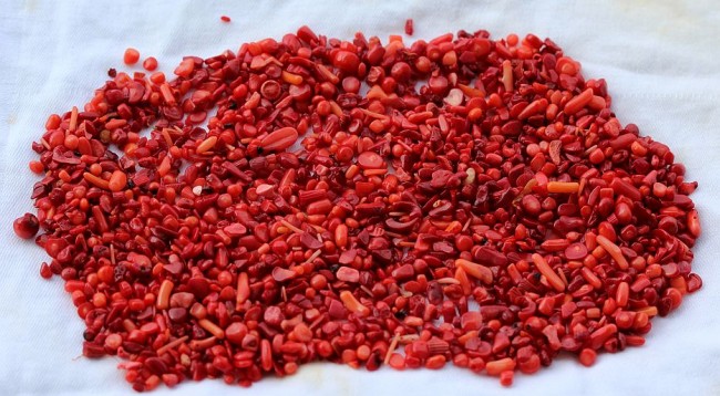 150g Natural Red Coral Gravel.jpg