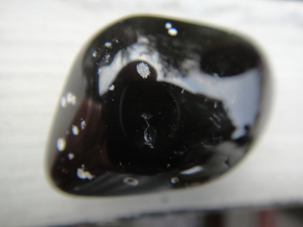 DSC01124a.jpg