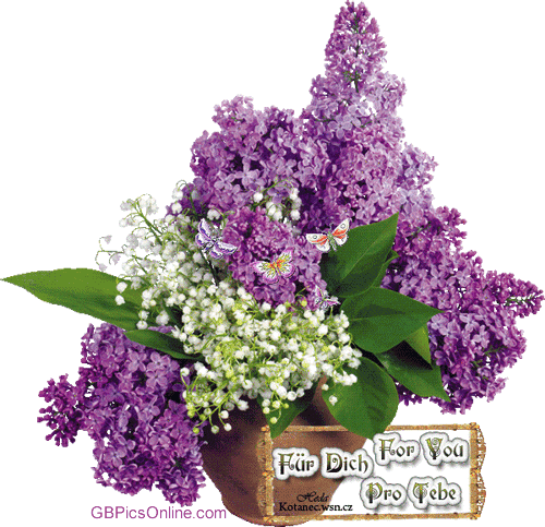 GBPicsOnline-065.gif