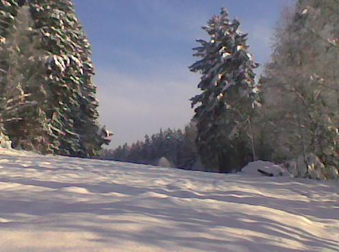 Bild031.jpg