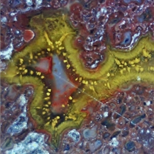 phantasiebild (504x503).jpg