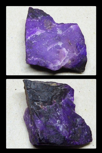 sugi1.jpg