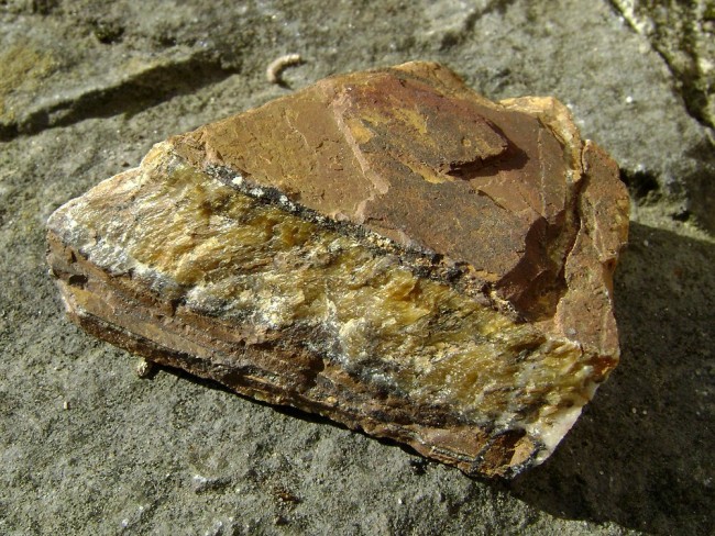 tigerauge rohstein.jpg (274.92 KiB) 15540 mal betrachtet Tigerauge - Rohstein - Poona/Indien