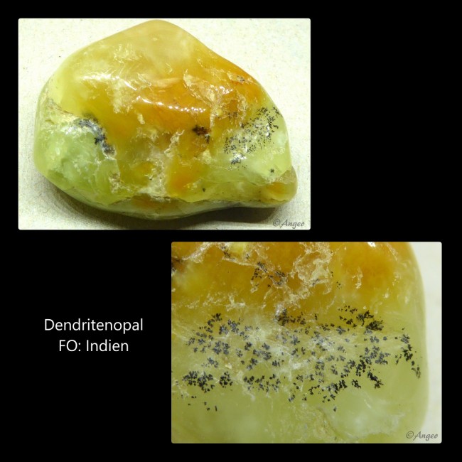 dendritenopal4.jpg