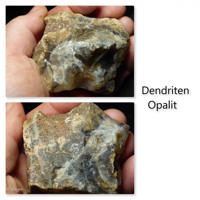 dendriten opalit.jpg