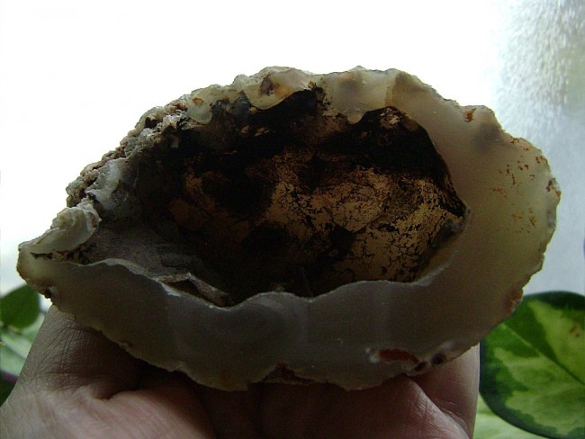 achatdruse-dendriten001.jpg