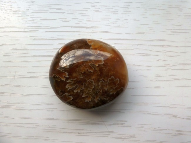 Ammonit1.JPG
