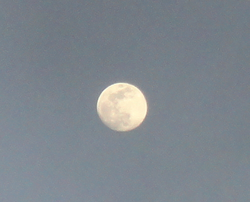 DSC01544b.jpg