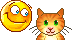 cat.gif