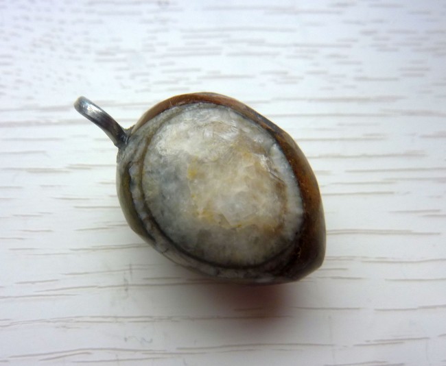 Ammonit Marokko2.JPG