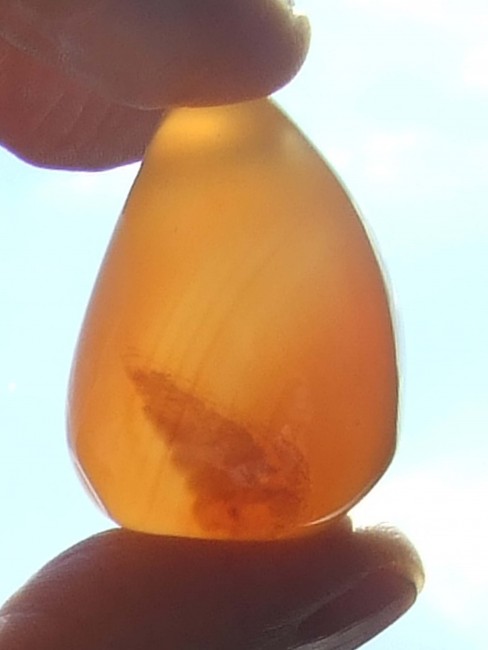 anh_tropfen_orange_10_ausschn_2019_xd.jpg