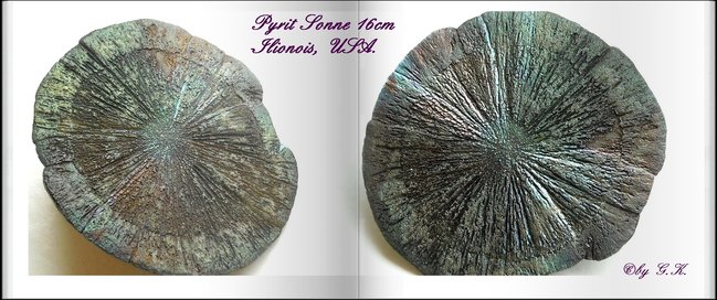 0004 Buch Pyrit Sonne 02 0137_1-horz_1.jpg
