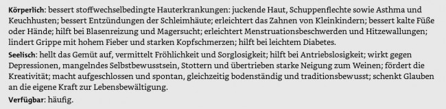 bernst.JPG