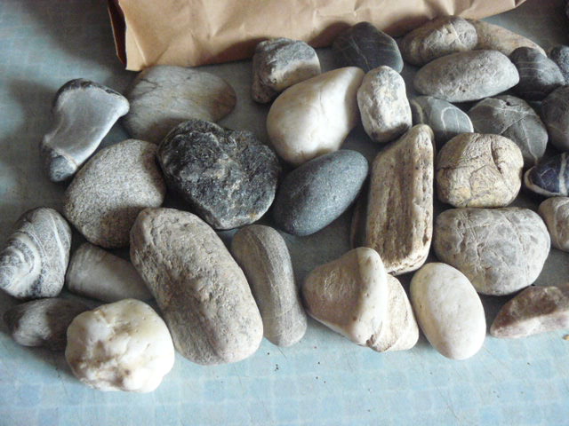 P1170065.JPG