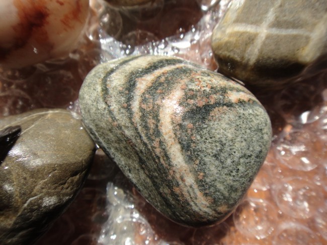 DSC02175a.jpg