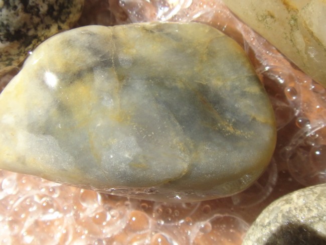 DSC02180a.jpg