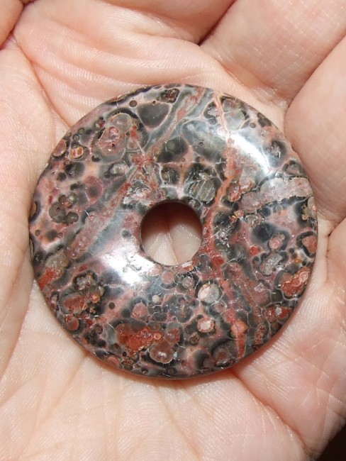 anh_donut_leopardenfelljaspis_14_a_2018_xd.jpg