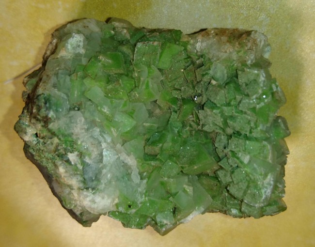 DSC_0001a.jpg