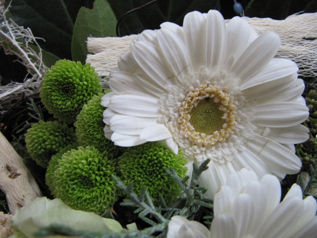 Blumen.jpg