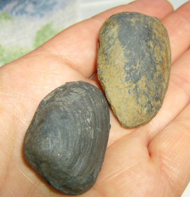 Funde Wehrendorf 007.JPG