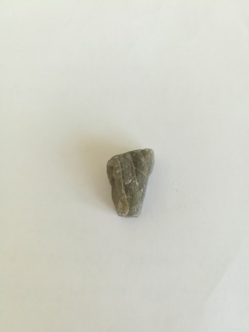 IMG_20190814_100458.jpg