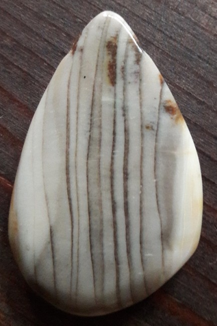 versteinertes holz1 (2).jpg