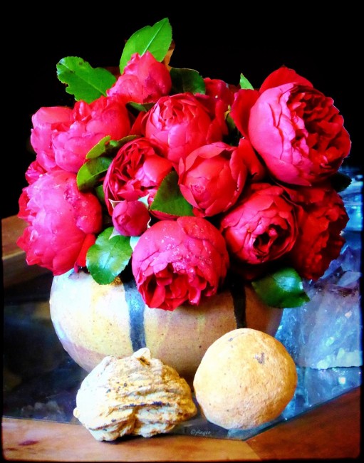 Rote Rosen.jpg