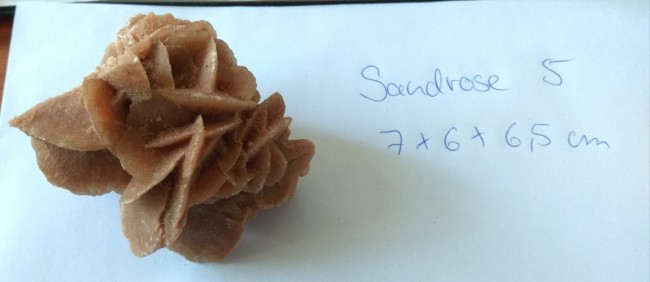 Sandrose 5