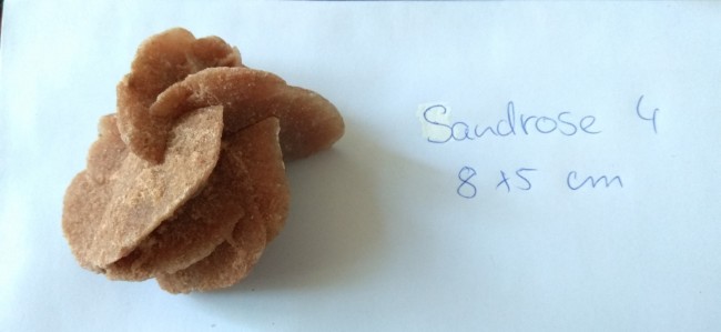 Sandrose 4