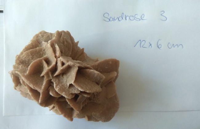 Sandrose 3
