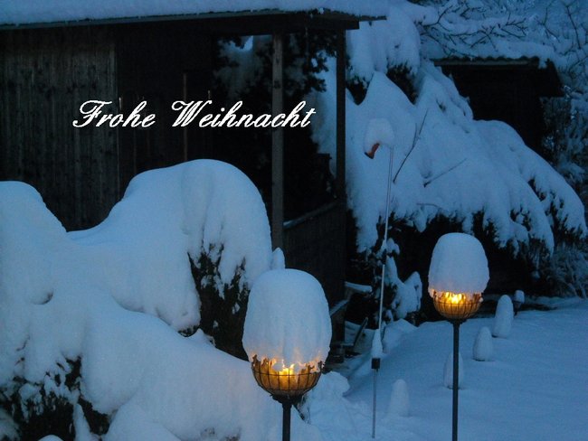 Frohe Weihnacht.jpg