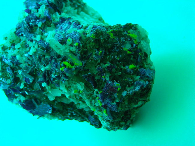 Erythrin UV DSCN0070.jpg