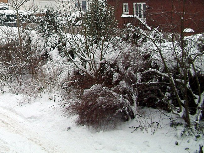 DSCF0026.JPG