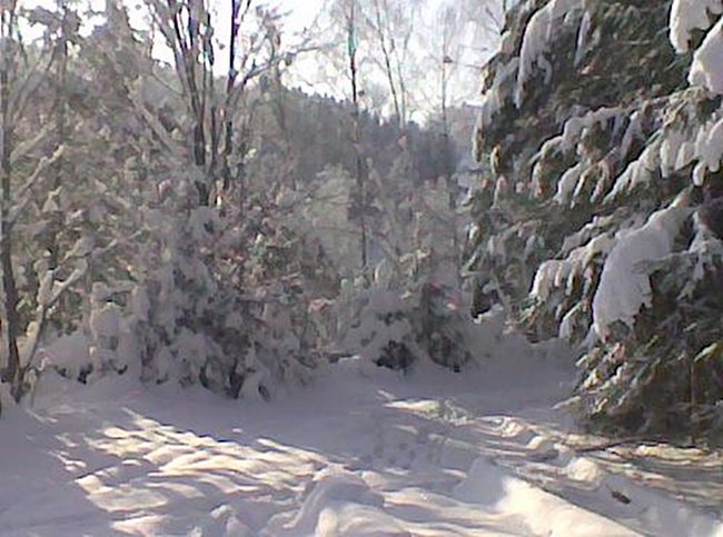 Bild037.jpg