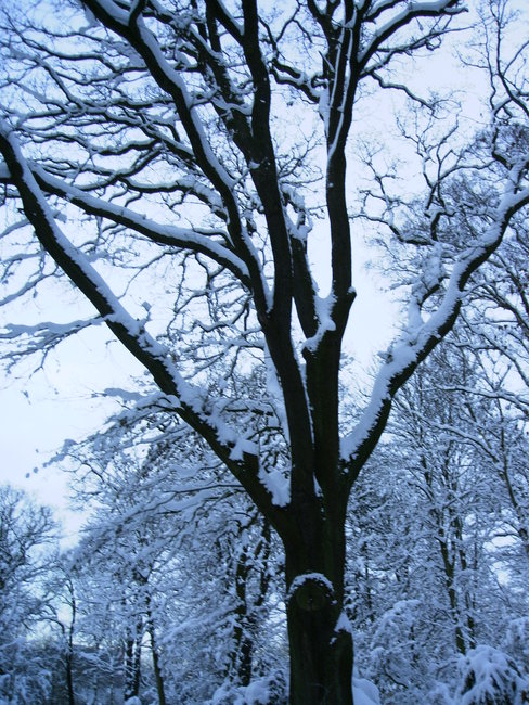 PICT0026.JPG