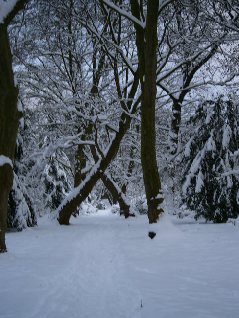 PICT0038.JPG