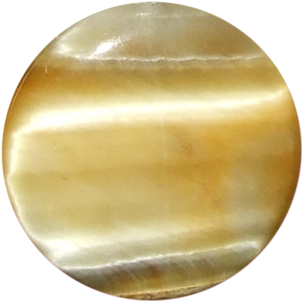 tigerauge_gelb_2_jenni_600.png