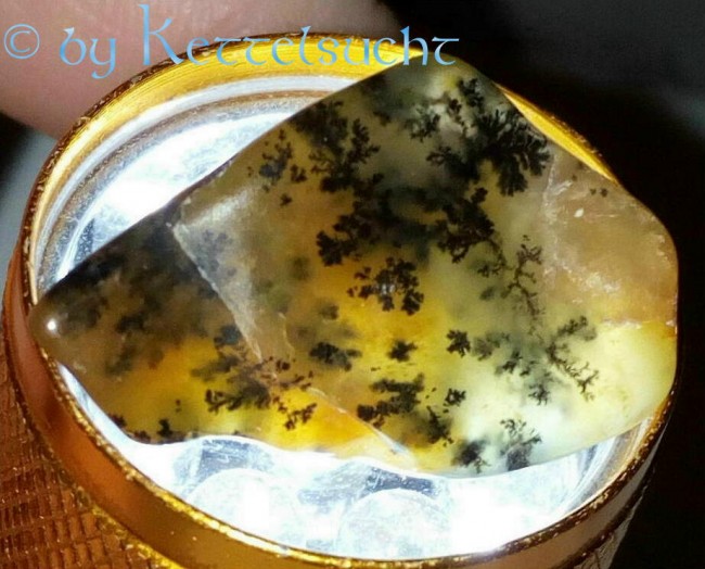 Dendriten_Opal_5.jpg