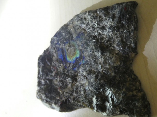 P1070201 4.JPG