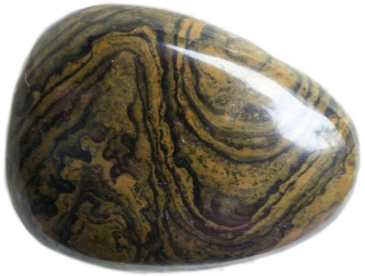 stromatolith_gr.png