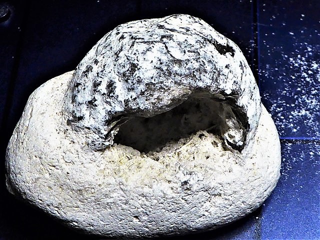 37933781sw.jpg